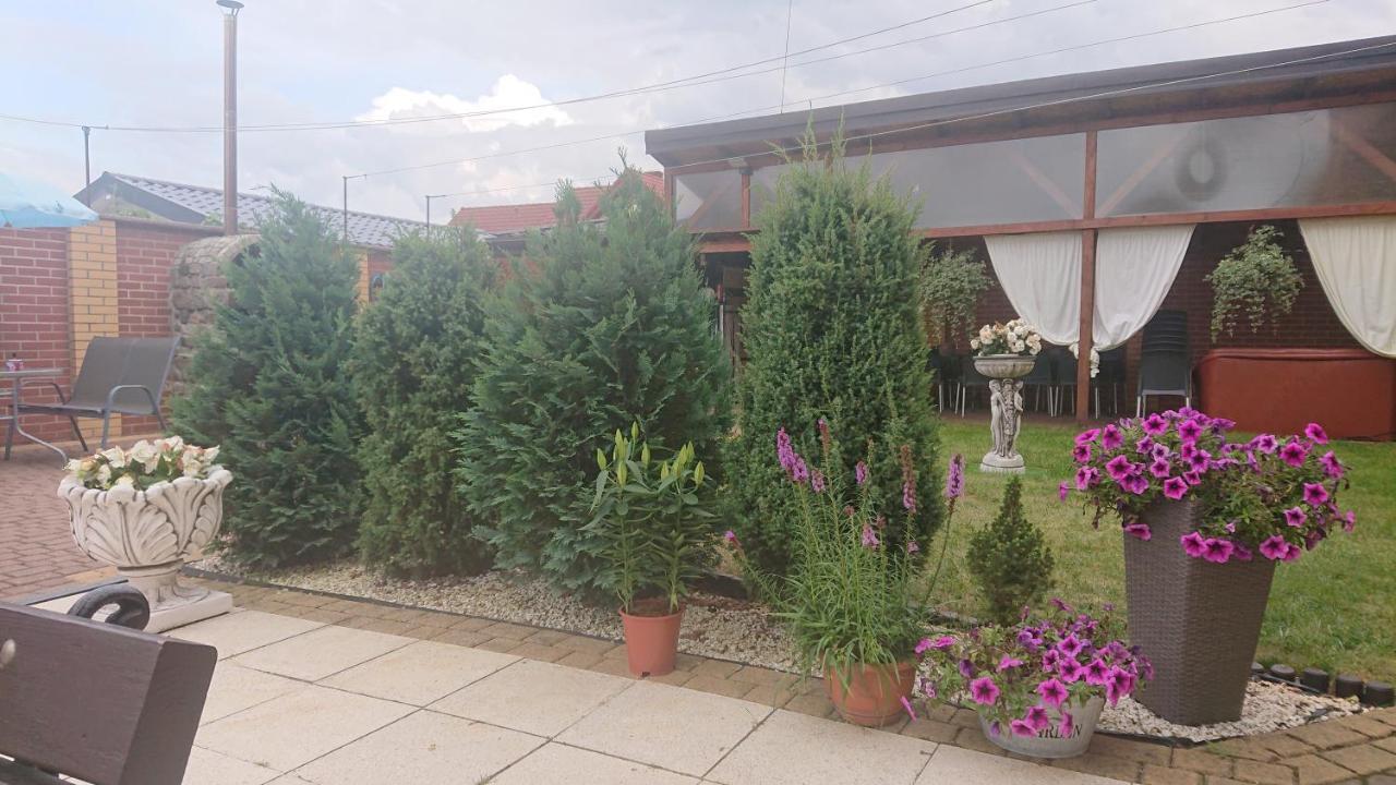 Letnia Willa Jacuzzi & Sauna Ujście-Darłowskie Exterior foto